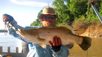 Barramundi Fishing trips