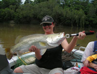 How to catch a Barramundi on the Daly River
