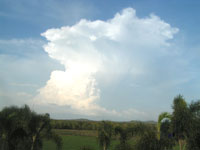 Daly River Barra Resort