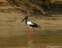 Fishing trips with meals and accommodation