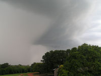 Daly River is where to catch a Barramundi