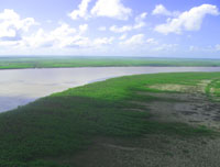 Half Day Fishing Charters